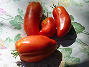 san marzano redorta